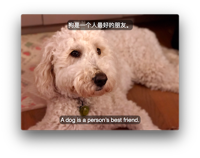 Screenshot of dual subtitles showing in Optimus Player.